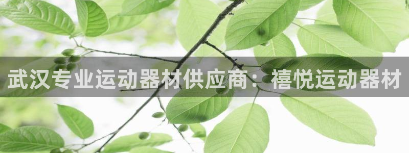 注册意昂3：武汉专业运动器材供应商：禧悦运动器材