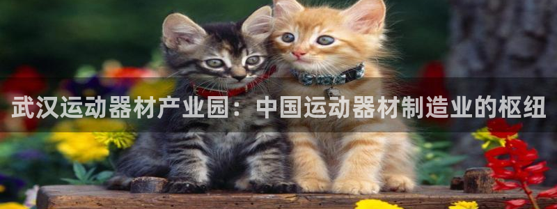 意昂体育3招商电话是多少啊:武汉运动器材产业园:中国运动器材