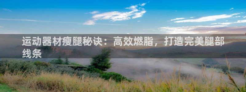 意昂体育3:运动器材瘦腿秘诀:高效燃脂,打造完美腿部
线条